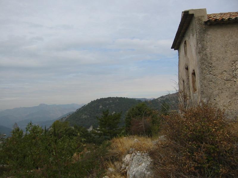 IMG_5529.JPG