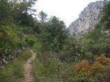 IMG_5532.JPG