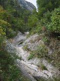 IMG_5533.JPG