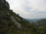 IMG_5535.JPG