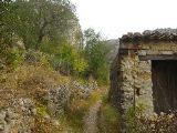 IMG_5538.JPG
