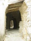IMG_5545.JPG