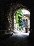 IMG_5547.JPG