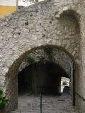 IMG_5516.JPG