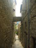 IMG_5553.JPG
