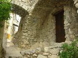 IMG_5555.JPG
