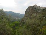 IMG_5559.JPG