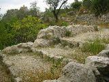 IMG_5560.JPG