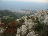 IMG_5572.JPG