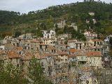 IMG_5517.JPG