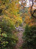 IMG_5528.JPG