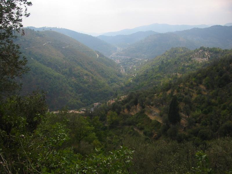 IMG_5447.JPG