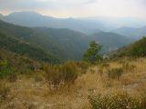IMG_5427.JPG