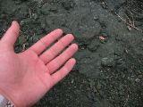 IMG_5431.JPG