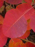 IMG_5437.JPG