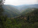 IMG_5447.JPG