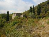 IMG_5448.JPG