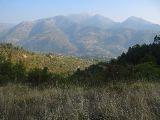 IMG_5417.JPG