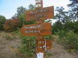 IMG_5421.JPG
