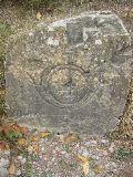 IMG_5424.JPG