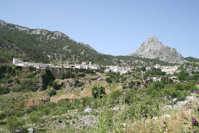 IMG_2561.JPG