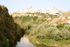 IMG_2542.JPG