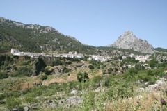IMG_2561.JPG