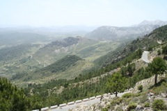 IMG_2572.JPG