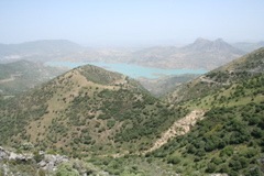 IMG_2577.JPG