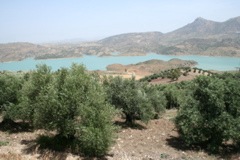 IMG_2585.JPG