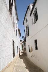 IMG_2616.JPG