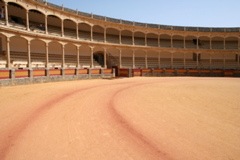 IMG_2625.JPG