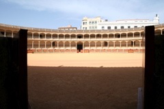 IMG_2626.JPG