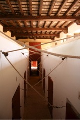 IMG_2633.JPG