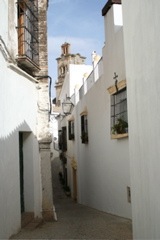 IMG_2490.JPG
