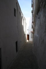 IMG_2495.JPG