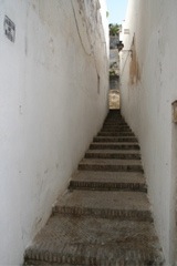 IMG_2498.JPG