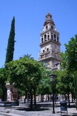 IMG_3631.JPG
