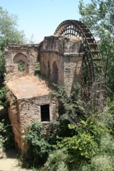 IMG_3682.JPG