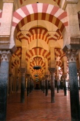 IMG_3664.JPG