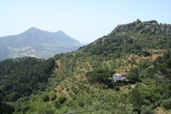 IMG_2717.JPG