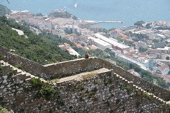 IMG_2750.JPG