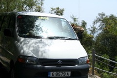 IMG_2754.JPG