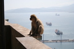 IMG_2773.JPG