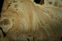 IMG_2760.JPG