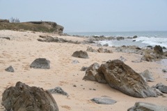 IMG_2787.JPG