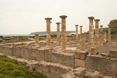 IMG_2802.JPG