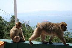 IMG_2732.JPG