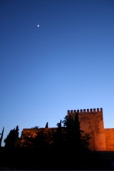 IMG_3513.JPG
