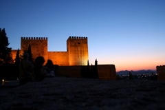 IMG_3521.JPG